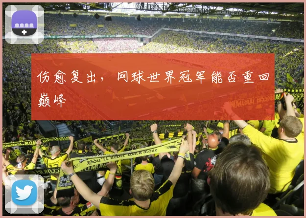 伤愈复出,网球世界冠军能否重回巅峰