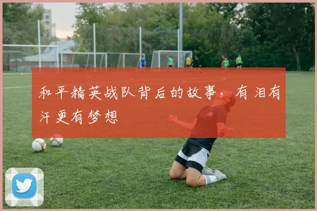和平精英战队背后的故事，有泪有汗更有梦想